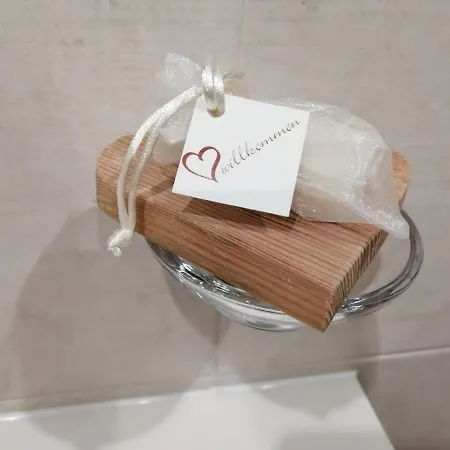 Πανσιόν Pichler Tannheim